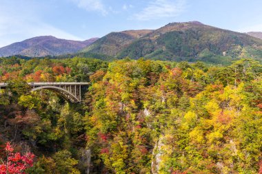 Sonbahar kanyonda Japonya değil