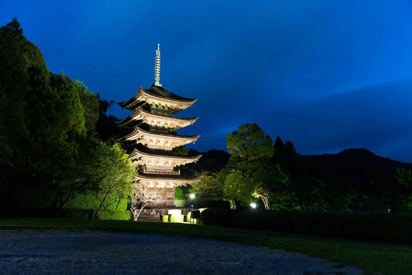 Pagoda chrámu Rurikoji v noci — Stock fotografie