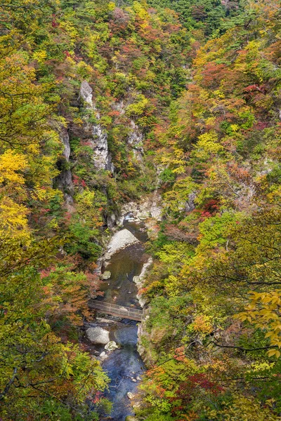 鸣子峡谷与日本秋叶 — 图库照片