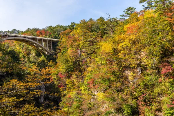 Naruko ущелині, з барвистими восени листя — стокове фото