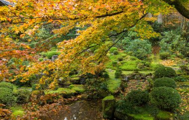 Sonbahar seson Japon Parkı