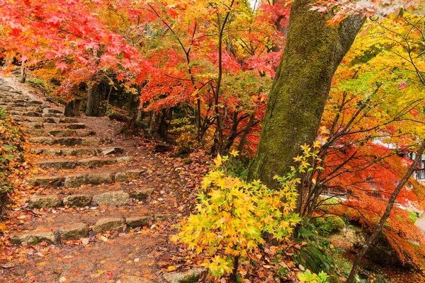 Japanese temple in autumn season — Stock Photo, Image