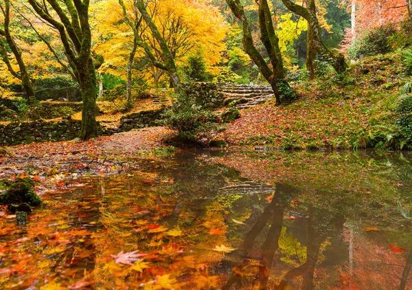 Jardin japonais en saison d'automne — Photo