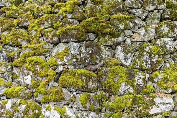 Piedra de roca textura —  Fotos de Stock