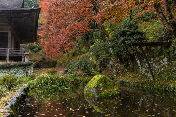 Japanese garden in Autumn season — Stock Photo, Image