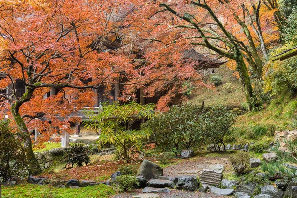 Japanese garden in Autumn season — Stock Photo, Image