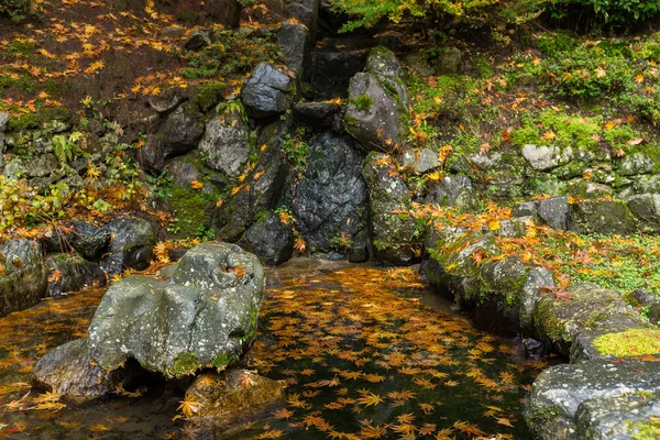 Japanese temple in autumn season — Stock Photo, Image