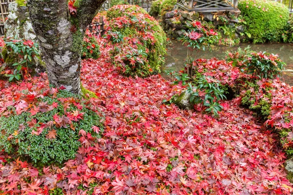 Jardin d'automne au Japon — Photo