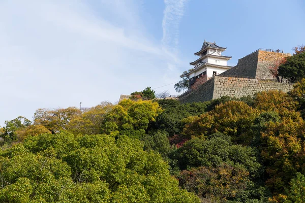 Japanese Marugame Castle — Stock Photo, Image