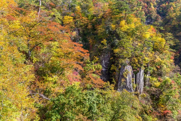 Canyon Naruko na temporada de outono — Fotografia de Stock