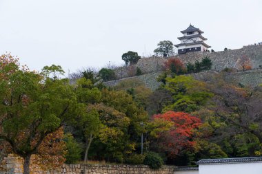 Marugame Kalesi Japonya