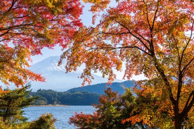 Göl Kawaguchi ve Mount Fuji Sonbahar sezonu