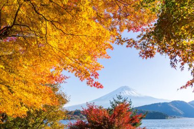 MT Fuji sonbahar Gölü Kawaguchiko görünümünden içinde