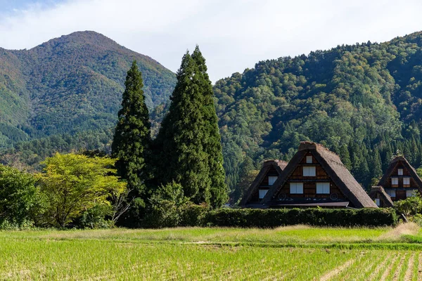Pueblo japonés tradicional e histórico — Foto de Stock