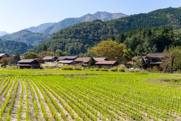 Japon eski köy Shirakawa — Stok fotoğraf