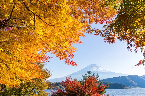 ภูเขาไฟฟูจิในฤดูใบไม้ร่วงจากทะเลสาบ Kawaguchiko — ภาพถ่ายสต็อก