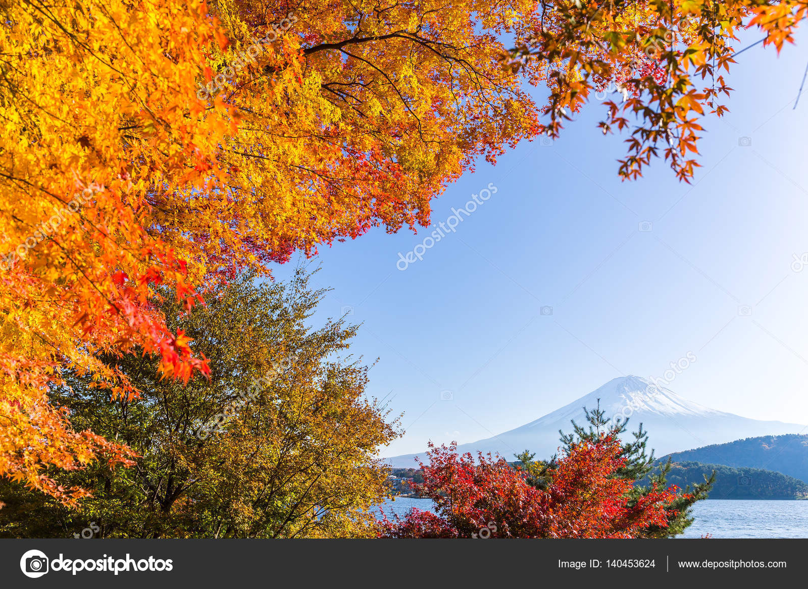 河口湖富士山と秋の紅葉 ストック写真 C Leungchopan