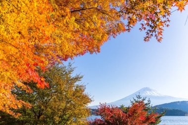 mt. fuji ve sonbahar yaprakları, göl kawaguchi