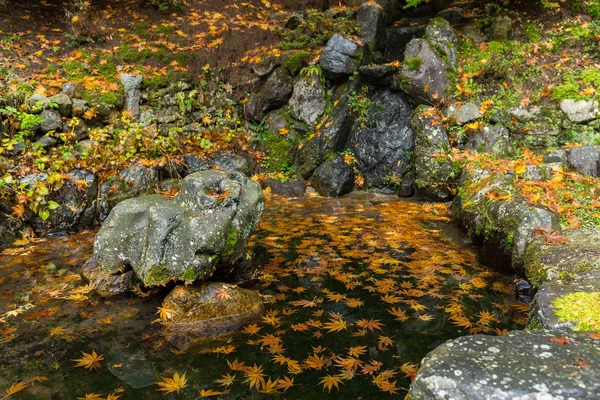 Japanese garden with Maple trees — Stock Photo, Image