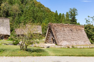 Geleneksel Japon Köyü Shirakawago