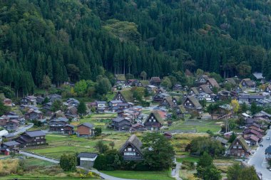 Japonya'nın Shirakawago Köyü