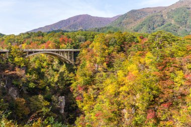 Sonbahar sezonu değil kanyonda Japonya
