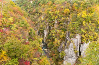 Sonbahar sezonu değil gorge