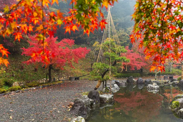 Japanese garden in autumn season — Stock Photo, Image