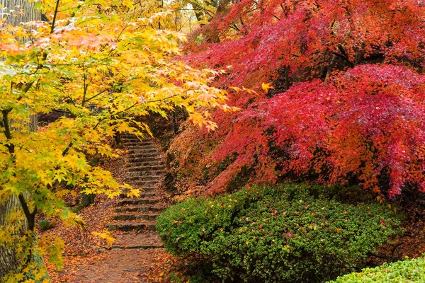 Herbstlandschaft im japanischen Garten — Stockfoto