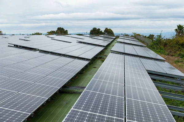 Güneş enerjisi paneli bitki — Stok fotoğraf