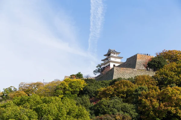 Traditional Marugame Castle in Japan — Stock Photo, Image