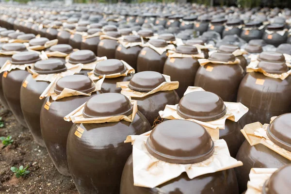 Almacenamiento de Vinagre en Barriles — Foto de Stock