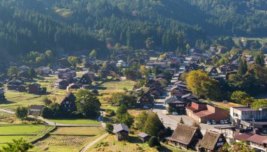 Geleneksel Japnese Shirakawago Köyü