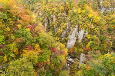 Japonya kanyonda değil