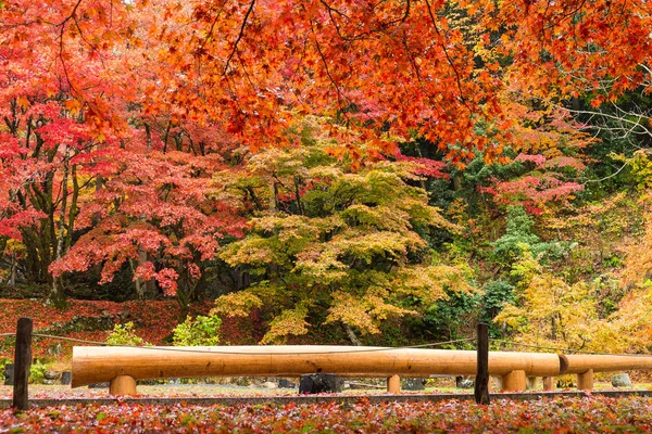 Japoński park w sezonie jesiennym — Zdjęcie stockowe