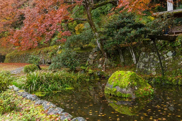 Beautiful Japanese park in autumn — Stock Photo, Image
