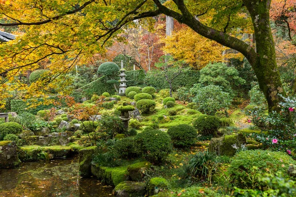 Japanese garden with maple trees — Stock Photo, Image
