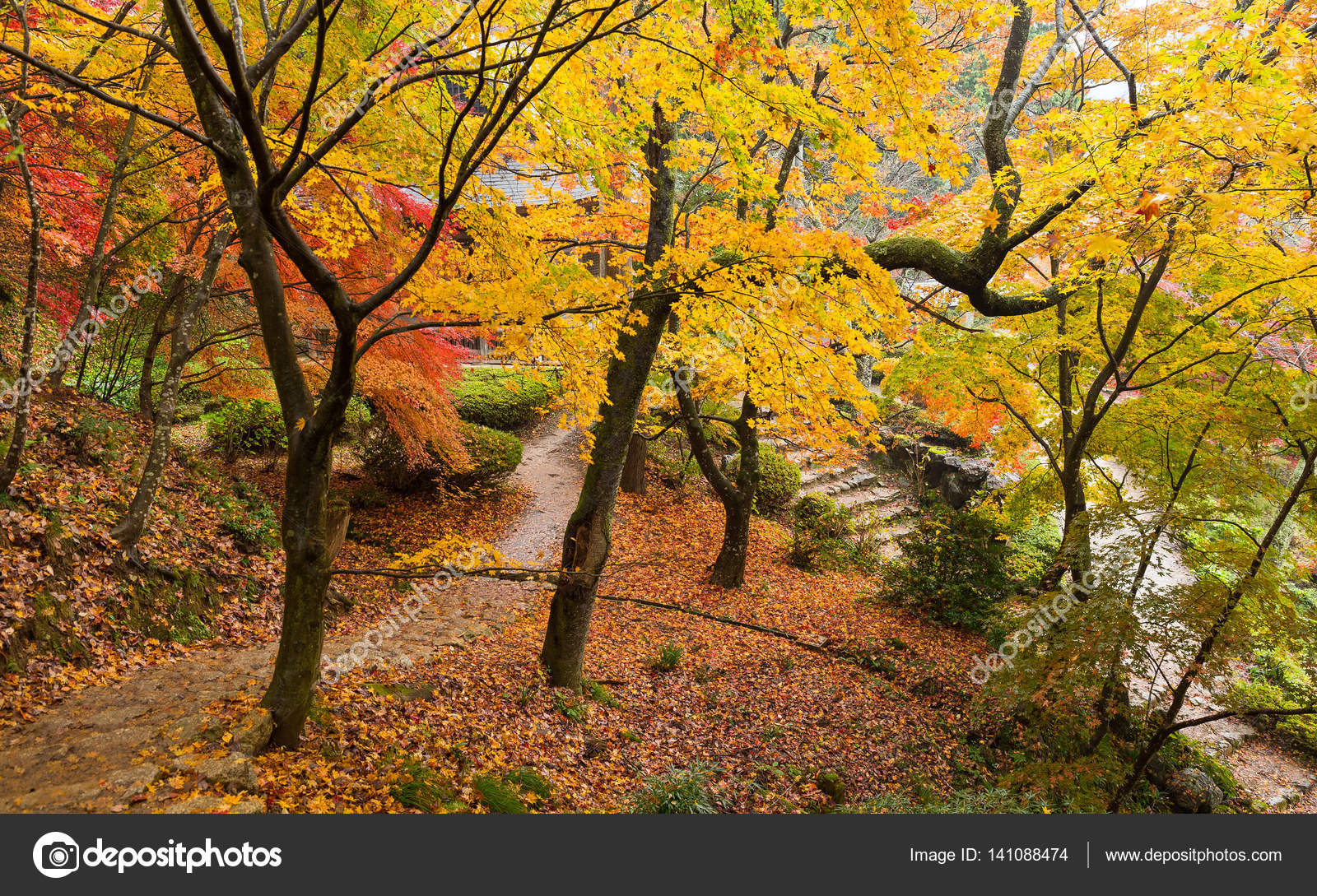 Jardín japonés con arces — Foto de stock © leungchopan #141088474