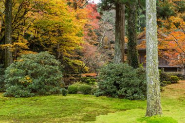 Sonbahar sezonu Japon Tapınağı
