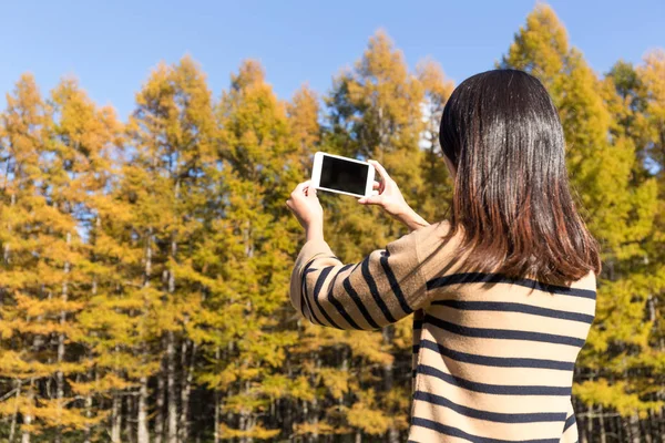 Frau fotografiert mit Handy im Wald — Stockfoto