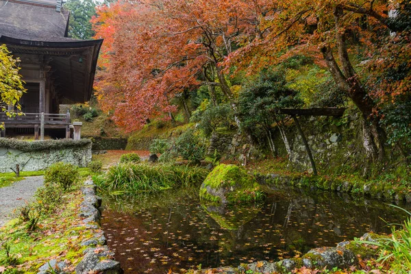 Vackra japanska park i höst — Stockfoto