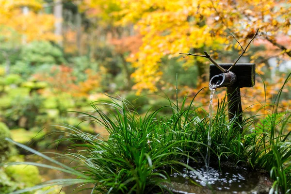 Fontaine d'eau en bambou dans le jardin japonais — Photo