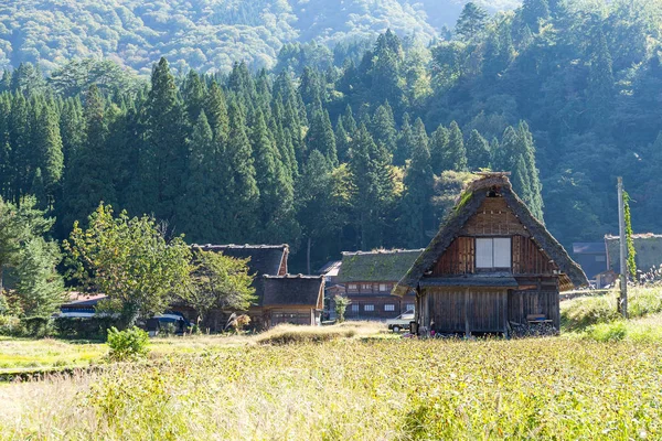 Village traditionnel japonais de Shirakawago — Photo