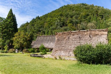 Japonya'nın geleneksel Shirakawago Köyü