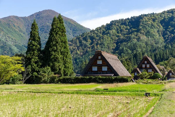 Aldea de Shirakawago en Japón — Foto de Stock