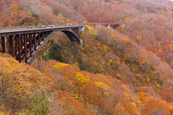 Jogakura Ohashi Bridge no outono — Fotografia de Stock