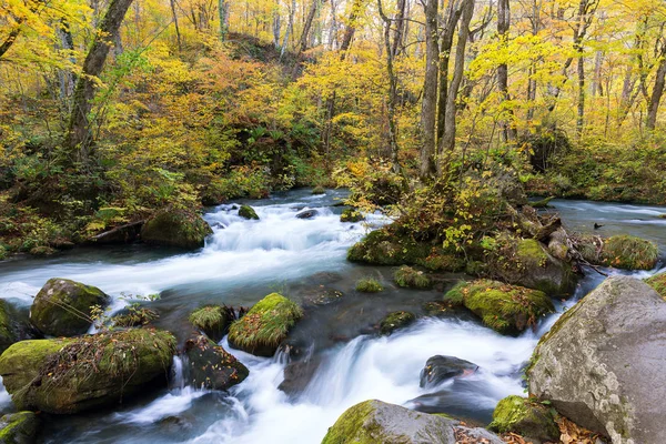 Oirase потоку в осінній сезон — стокове фото