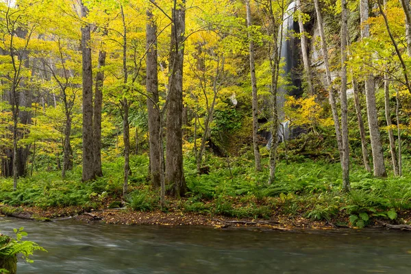 Oirase ущелині потоку в осінь — стокове фото
