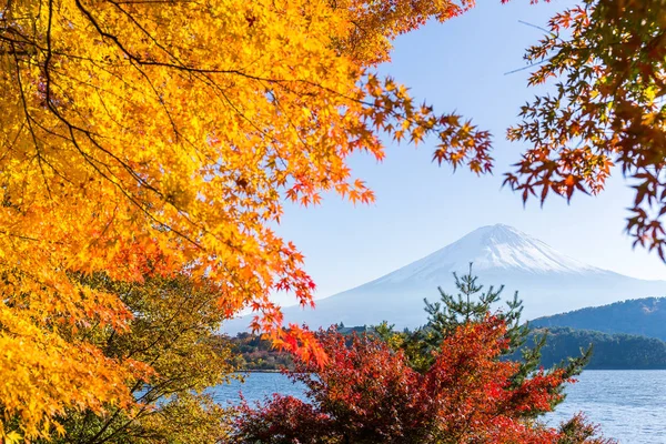 Mount Fuji és lake Kawaguchi — Stock Fotó