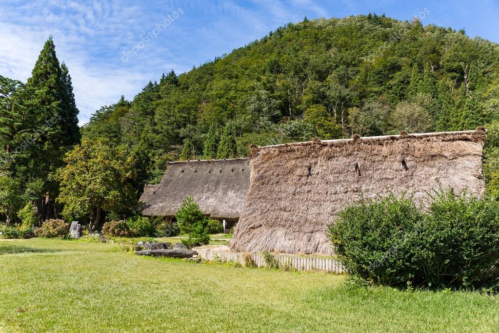 leungchopan